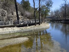 -白水寺森林公园