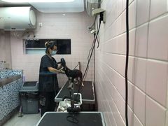 -FAELING PETS美天灵宠物(富力广场店)