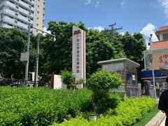 -广西壮族自治区博物馆