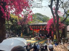 -青青世界