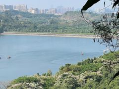 -水濂山森林公园