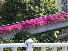 -西湖公园(鼓楼区)