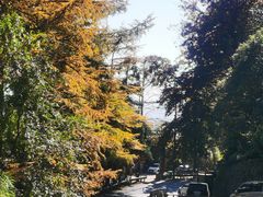 -莫干山风景区