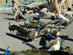 -水上乐园·欢乐世界