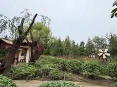 -太阳宫公园