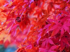 -深业半汤御泉庄温泉