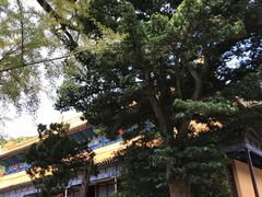 -普陀山风景名胜区-法雨禅寺