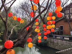 -西溪国家湿地公园