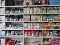 -宠颐生动物医院·猫科·心脏科(海口分院)