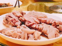 -丁老爷子苏香圆