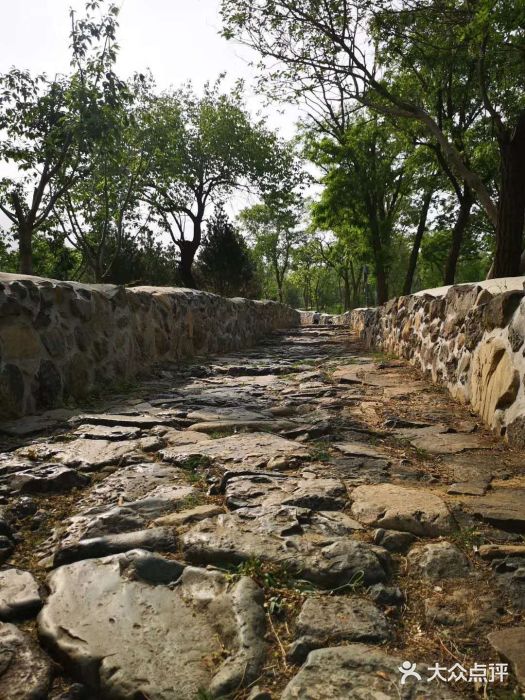 阳台山自然风景区图片