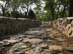 -阳台山自然风景区