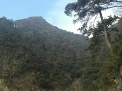 -东天目山风景区