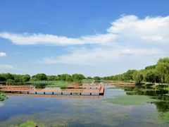 -洪湖生态旅游区