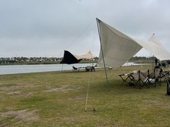 -春花秋色城市公园