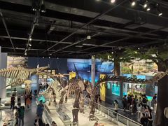 -国家自然博物馆