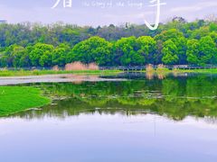 -月湖风景区