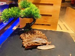 -德得轩烤涮一体自助餐厅(王府井店)