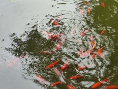 -香山公园