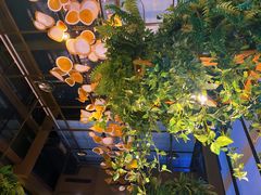 -陶苏·品味融合川菜(龙湖源著天街店)