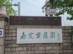 -嘉定紫藤园