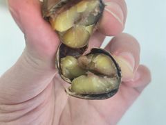 -栗满秋(燕丰西坝河店)