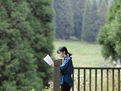 -武陵山森林公园