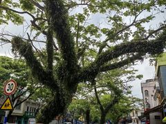 -博鳌悠然·忠锐杂粮茶餐厅