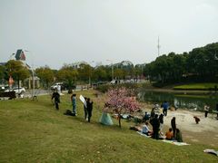 -美兰湖景区