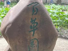 -绍兴鲁迅故里·沈园景区