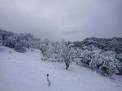 -太子岭滑雪场