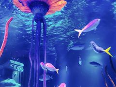 -沈阳海洋探索中心