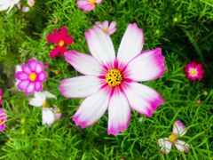 -成都中医药大学(温江校区)