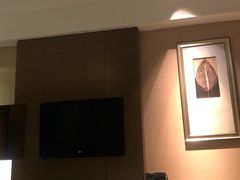-扬州绿地铂骊酒店