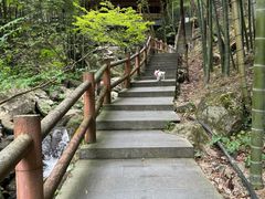 -藏龙百瀑风景区