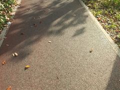 -黄兴公园