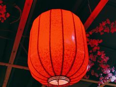 -曾三娘翘脚牛肉