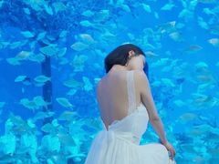 -合肥海洋世界