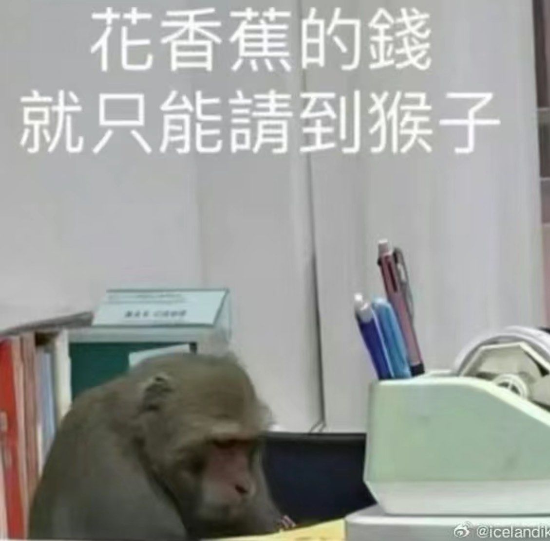 社畜专用表情包