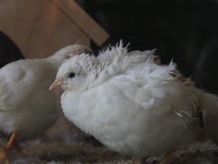 -杭州野生动物世界