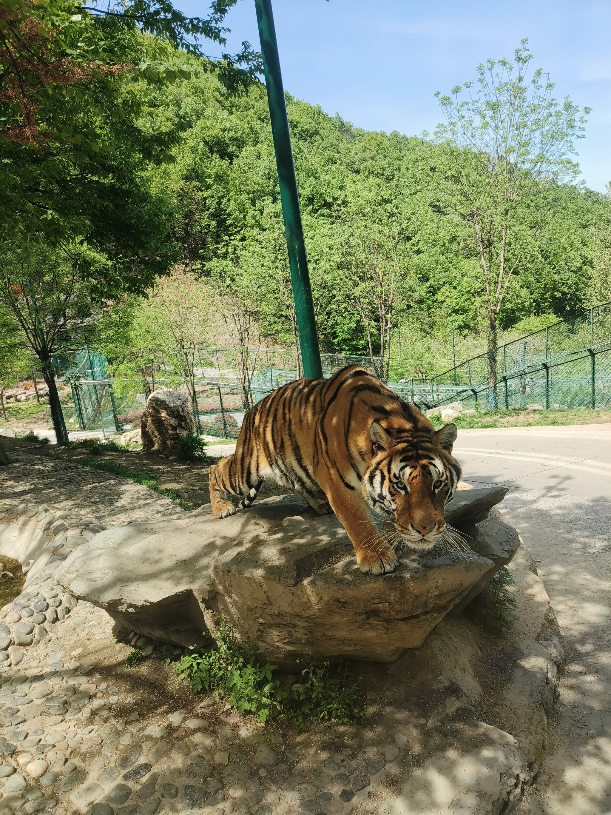 栾川竹海野生动物园