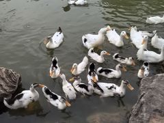 -木塔寺遗址生态公园