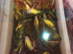 嘎牙子鱼-王老六铁锅炖鱼(圣亚海洋店)