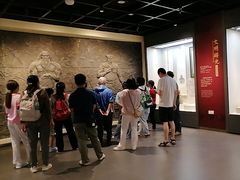 -广东中医药博物馆