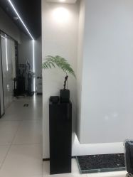 -FINE HAIR 烫染专业设计