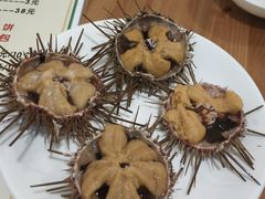 -海胆小馆(东北水饺·春柳店)