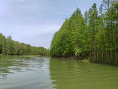 -上海海湾国家森林公园