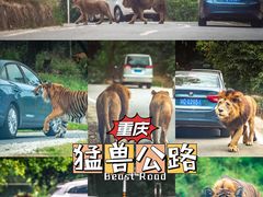 -乐和乐都主题乐园