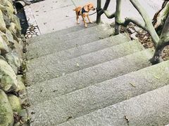 -鹿亭中村