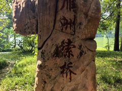-东湖落雁景区